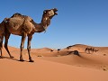 Erg Chebbi