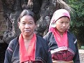 Golden-belt-Palaung, moeder en dochter