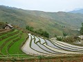 Rijstterrassen tussen MUONG HUM en Y TY