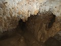 Waipu Caves (de glowworms krijgen we jammer genoeg