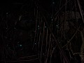 Glowworms in de bomen