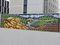 Christchurch : overal grafitti op de muren naar de