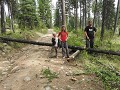 omgevallen boom door de storm in 2 zagen
