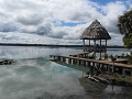 DSCN6977