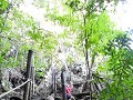 Semuc Champey