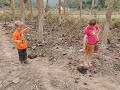 Kinderen volgden de kaka's van de waterbuffels :-)