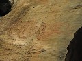 Rotsschilderingen van 6000 jaar oud