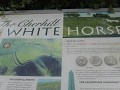 White horse - op verschillende plaatsen in Zuid En