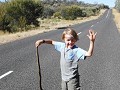 Een slang op de weg
