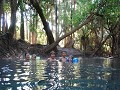 Mataranka hot springs