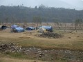 DSCF1732