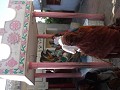 DSCF2078