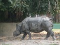 DSCF2487