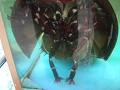 DSCF3246
