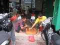 IMG_1234