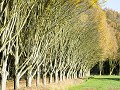 Th2019-20.23 Herfst