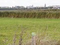 Kst21-08-Uitkerkse Polder - Blauwe reiger