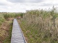 Kst21-10-Uitkerkse Polder - naar de vogelhut