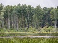 Can-4-27-Riding Mountain landschap