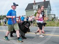 Can7-40-... en ook de rasechte Newfoundlander