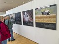Fr-Sp-Po25-01 -07-Tentoonstelling Europese Natuurf