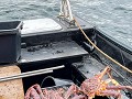 Zw-Fi-No26-04 -45-Bugoynes, gevangen King crab