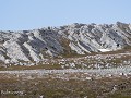 Zw-Fi-No26-04 -91-Varanger, Hamningbergs geologie