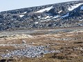 Zw-Fi-No26-04 -94-Varanger, Hamningbergs geologie