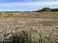 Fr-Sp-Po26-01 -01-La Brenne, Lac du Sous kompleet 