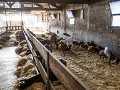 Fr-Sp-Po26-01 -21-Reilhac, bij de Ferme de Vigne H