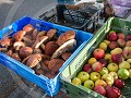 Fr17-01-15-Streekproducten - appels en eekhoorntje
