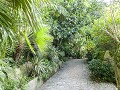 Fr-Sp-Po23-04 -76-La Roque Gageac, Plantentuin van