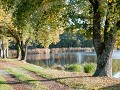 Fr17-02-06-Etang de Mouton