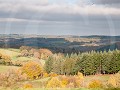 Fr17-02-31-Parc de Millevaches en Limousin