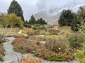 Fr-Sp22-02 -65-Col du Lautaret - Jardin Alpin du L