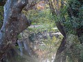 Fr17-04   20 Wandeling terug huiswaarts