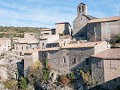 Fr17-04   37 Minerve 1