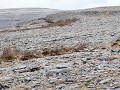 Ir18-03   23 The Burren 4