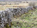 Ir18-03   25 The Burren - stenen muurtjes 2
