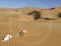 Nam-01-02-Namib Naukluft 2