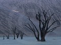 Nam-01-05-Dead Vlei - zonsopgang