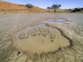 Nam-01-07-Dead Vlei - na de regen