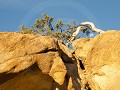 Nam-01-13-Namib Naukluft - Bloedkoppies en maan