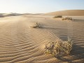 Nam-01-59-Skeleton Coast - landschap