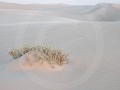 Nam-01-58-Skeleton Coast - landschap
