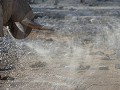 Nam-01-74-Etosha NP - dorstige Olifant