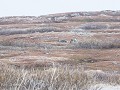 No-Zw-La25-04 -67-Vardo, toendra-landschap