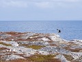 No-Zw-La25-04 -93-Slaapplaats aan de kust, landing