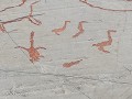 No-Zw-La25-04 -128-Alta, rotstekeningen, zich drog