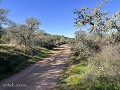 Fr-Sp-Po25-06 -70-Camping Puro Alentejo, wandeling